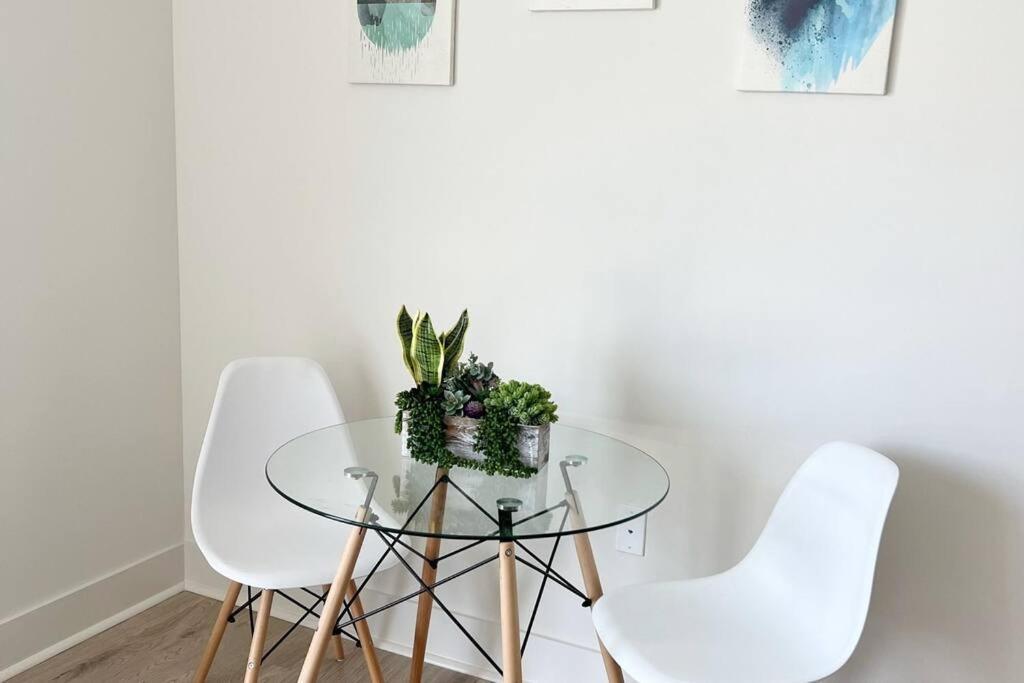 Studio Apartment, Queen Bed, Wifi, Kitchen, Washer & Dryer In シャーロット エクステリア 写真